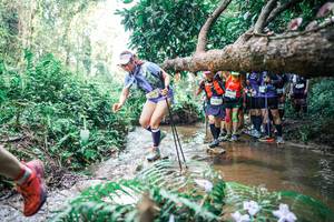 BIB: 
                            <button type="button" onclick="openModal(25470848)" class="btn btn-primary btn-sm float-right btn-popup" data-toggle="modal" data-target=".modal-high-quality">
                        <i class="fas fa-shopping-cart"></i> Add to Cart
                    </button>
                                            <button type="button" onclick="isThisMe(25470848, true)" class="btn btn-success btn-sm float-right btn-popup btn-isme hidden" data-toggle="tooltip" data-placement="bottom" title="นี่คือรูปของคุณใช่ไหม คลิกที่นี่เพื่อเอาเข้าอัลบั้ม">
                        <i class="fas fa-plus"></i> Add to album
                    </button>
                    <button type="button" onclick="isThisMe(25470848, false)" class="btn btn-warning btn-sm float-right btn-popup btn-isnotme hidden">
                        <i class="fas fa-ban"></i> Remove from album
                    </button>